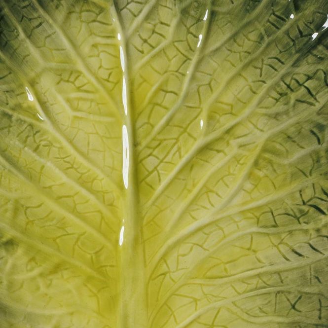 Hovedbilde Lettuce tallerken i form av salatblad 