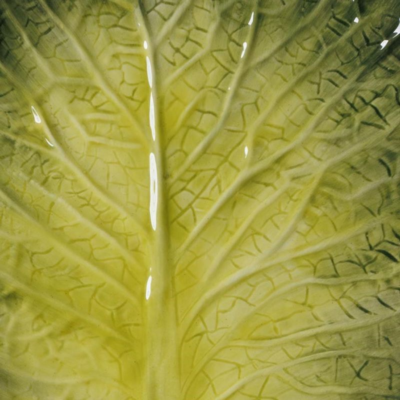 Lettuce tallerken i form av salatblad 