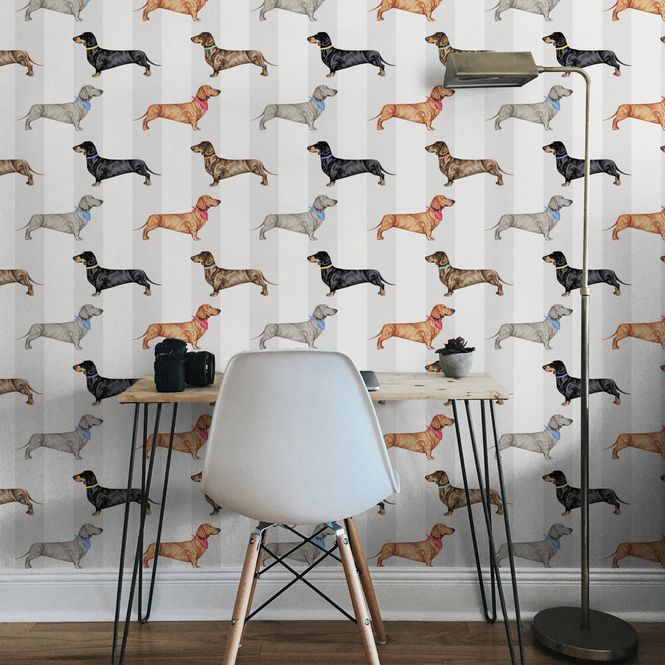 Main Image Dachshund tapet