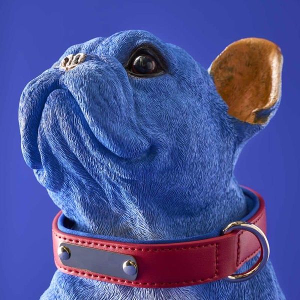 Hovedbilde Molly blå fransk bulldog hundefigur