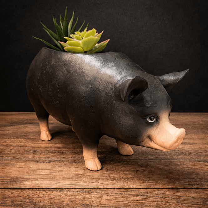 Hovedbillede Piggy blomsterpotte