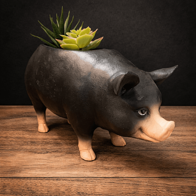 Piggy blomsterpotte