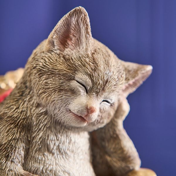 Hovedbilde Katt som tar en lur i en lenestol