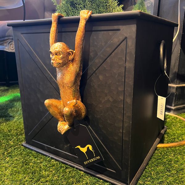 Hovedbilde Hengende Ape potte dekor 25 cm