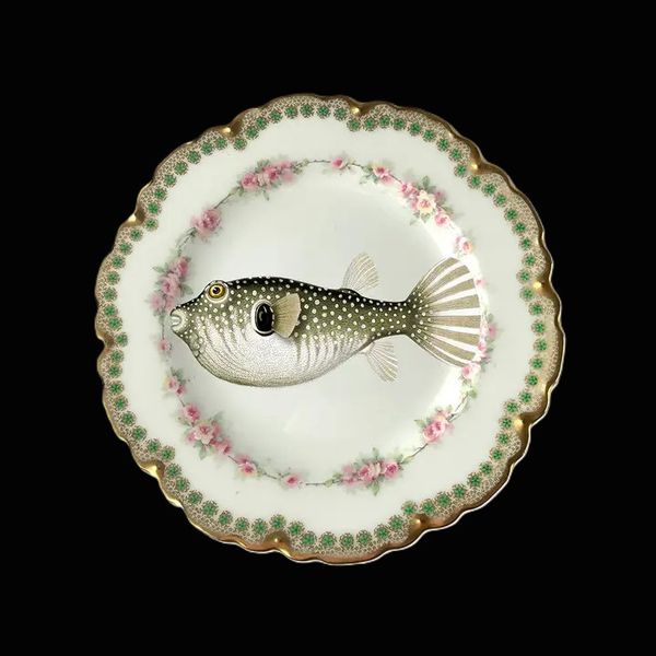 Hovedbilde Dekkebrikke Noori