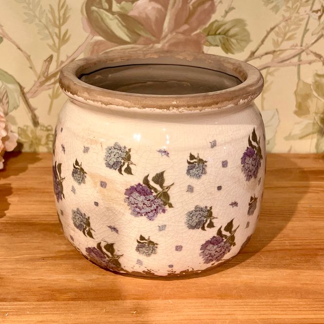 Hovedbilde Potte Blå Hortensia