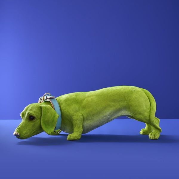 Hovedbilde Wilfried Lasso grønn hundefigur dachshund