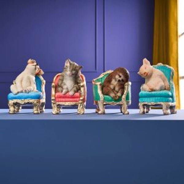 Hovedbilde Katt som tar en lur i en lenestol