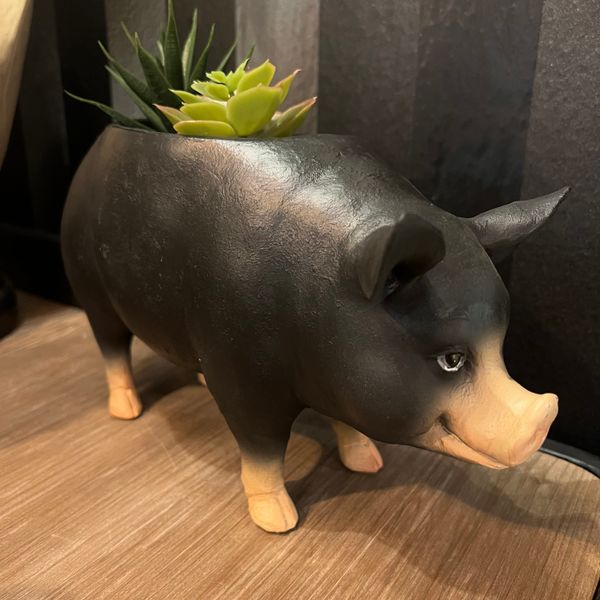 Hovedbilde Piggy blomsterpotte, skål 