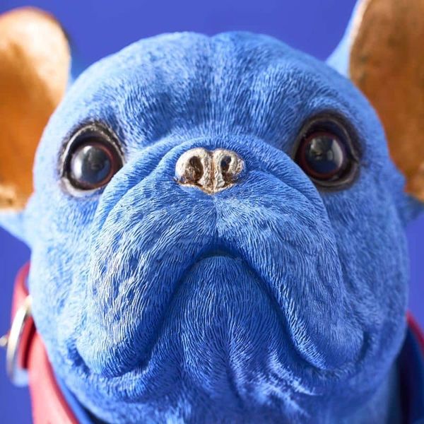 Hovedbilde Molly blå fransk bulldog hundefigur